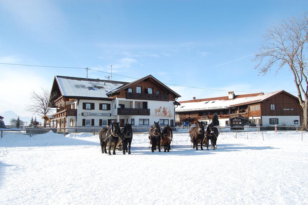 Gaestehaus Stefanie Schwangau Chambre photo