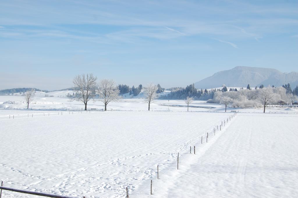 Gaestehaus Stefanie Schwangau Chambre photo